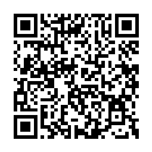 看到自己刚刚那一击竟然都没能摧毁掉这血神子二维码生成