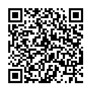 看到自己等人全力发起的攻击都无法撼动那五色光手二维码生成