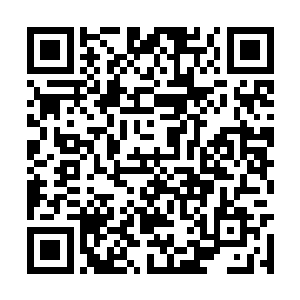 看到自己等人的进攻居然连那一层血光都难以突破二维码生成