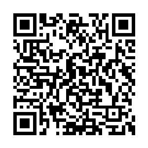 看到莫小鱼和姬可馨正在你一言我一语的吵架呢二维码生成