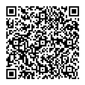 看到蒋钦和今天晚上的寿星袁琳这两个年轻的有些过份的小女生你一言我一语的谈论对爱情对人生的理解和态度二维码生成