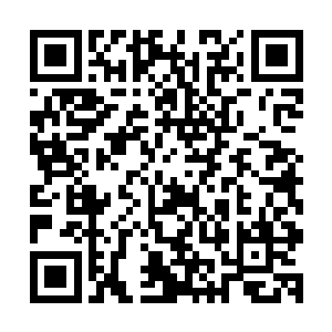 看到西装革履衣着非常正式的闻人照正满脸激动的向他跑过来二维码生成
