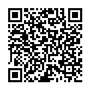 看到许紫烟呆呆的模样站在其他都已经动起来的修士中间二维码生成