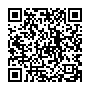 看到过那份名单的夏天就已经知道了这五个人的身份二维码生成