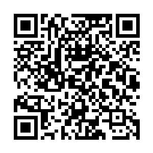 看到这两个与自己有着不同焦急的长老同时出现在自己面前二维码生成