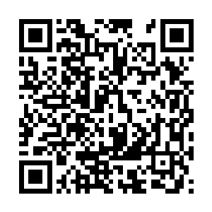 看到这两位长老还有赵羽和其余人杨晨也是微微惊二维码生成