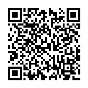 看到这个信号附近所有的城卫军和高手都会赶过来二维码生成