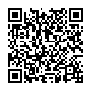 看到这个锦盒的时候三人将目光都放在了锦盒上面二维码生成