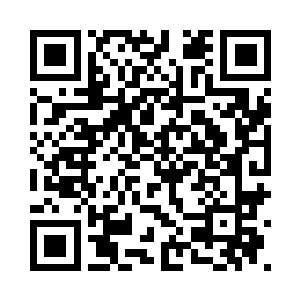 看到这么多的流浪狗跳进了学校里二维码生成