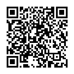 看到这些自诩高傲不凡的名门正派人士一副难以置信的样子二维码生成