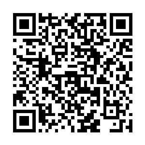 看到这件衣服把全身上下裸露在外的姣好肌肤全部遮掩二维码生成