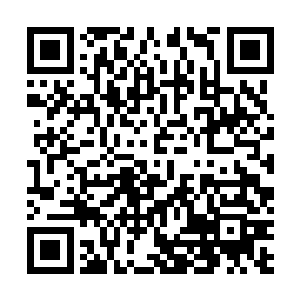 看到这兄弟两人这么热心的帮自己解决的办法都想出来了二维码生成