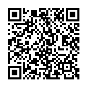 看到这几个字的时候所有人都知道夏天又猜对了二维码生成