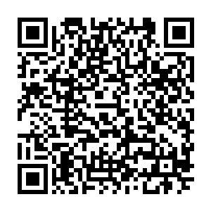 看到这几天跟他相处的小小鸟竟然转瞬就变成了一个比他还小得多的奶娃娃二维码生成