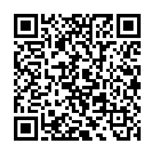 看到这古老的洞穴中居然有着完整的四象二十八宿图二维码生成