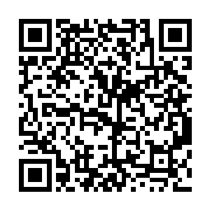 看到这周围的荆棘还有比人还高的杂草恐怕早就已经放弃了二维码生成