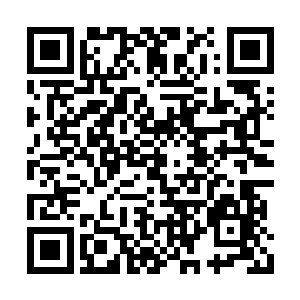 看到这种场景总是会在心里默默骂一声编剧脑残二维码生成
