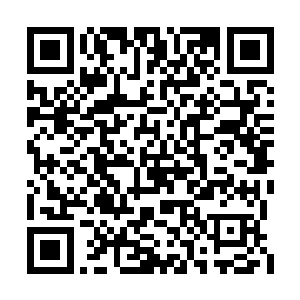 看到这群怪兽鱼龙傲天简直一刻也不能呆下去了二维码生成