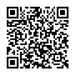 看到道经都是眉飞色舞……爱书人遇到绝世书卷二维码生成