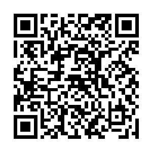 看到那一屋子通房丫头还在争着抢着伺侯蒋剑晨的活计二维码生成