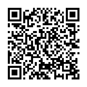看到那不朽境界的黑暗精灵竟然被楚旬一刀格杀二维码生成