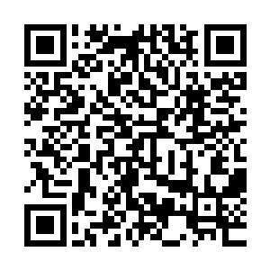 看到那个方寸公司的财务经理罗亚丹居然已经在那等着自己了二维码生成