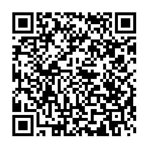 看到那些经过自己强化后的五行虫竟然都没能逃脱这黑白小山的镇压二维码生成