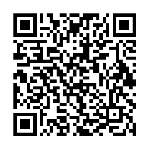 看到那十几个炼气期的修士已经真元耗费的七七八八二维码生成