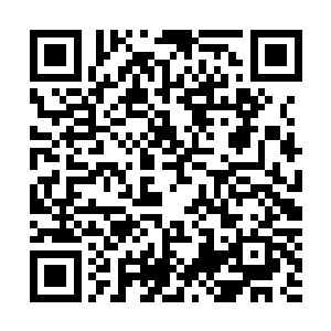 看到那忽然降临的金袍男子和另外的狮脸男子以及象鼻男子二维码生成