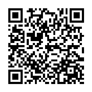 看到那怕死的班尼拚命地跑向一个墓穴入口般的地方二维码生成