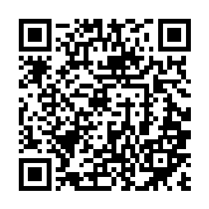 看到那金色巨猿和哪吒被那大巫夸父一拳一个重创轰飞二维码生成