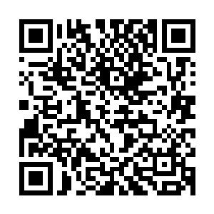 看到隋立媛从一个山沟里的小寡妇一步一步在自己的调教培养下二维码生成