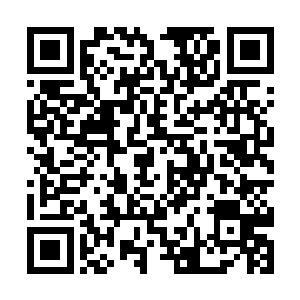看到jesse从地上爬起来后再软绵着双腿朝着外面走去二维码生成