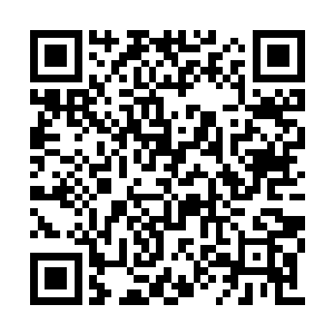 看台上的切尔西球迷们看到切尔西有这样的表现二维码生成