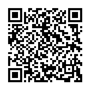 看台上的拜仁慕尼黑球迷们已经迫不及待开始提前庆祝胜利了二维码生成