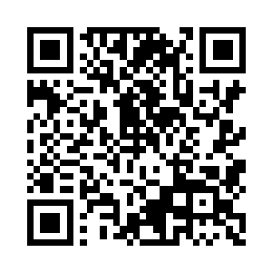 看台上的罗马球迷从荣光开始追球起二维码生成