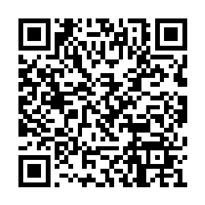 看向后方还未来得及完全隐没在虚空的青铜大门二维码生成