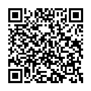 看向年轻人的目光中也是闪过了一丝戒备的神情二维码生成
