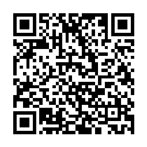 看向续雅的眼神带着一抹感激以及只有他知道的情感二维码生成