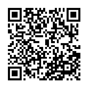 看向罗红颜的目光中已经完全被杀意和阴冷充斥二维码生成