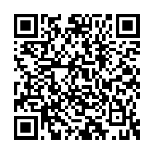 看向龙傲天的目光中不可掩饰的出现了赞赏的神二维码生成