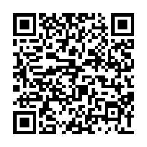 看在霍道友几位修士为我解开了上古禁制的份上二维码生成