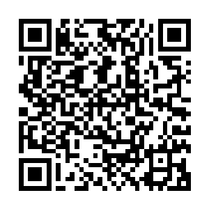 看她像个小丫头似的从棉被里扯了大团的棉絮往自己腔子里塞二维码生成