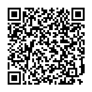 看她这样想起以前大小美人闻着炭盆里的栗子香想往外扒又怕烫着毛二维码生成