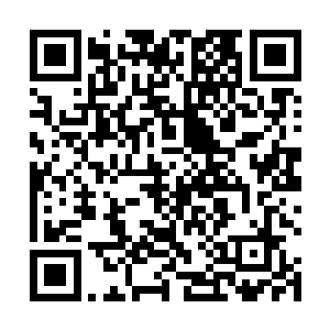 看好白河谷地的人坚定地认为马文拥有古代英雄的潜质二维码生成