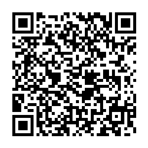看它们咔滋咔滋地把大块大块的骨头嚼碎吞下去就知道它们有多馋了二维码生成