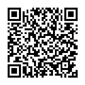 看守着海关的青璃妖们惊疑不定的打量着这群混杂的妖族二维码生成