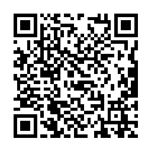 看岳老师现在形象就知道您这段时间的确是辛苦了二维码生成