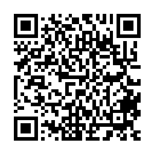 看得从来都没有怕过任何人目光的百里尾生都莫名其妙地回避了二维码生成