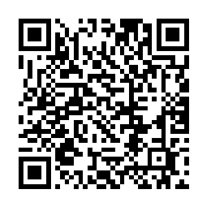 看得先前那些攻击唐劫侥幸未死的小妖们全都吓坏了二维码生成